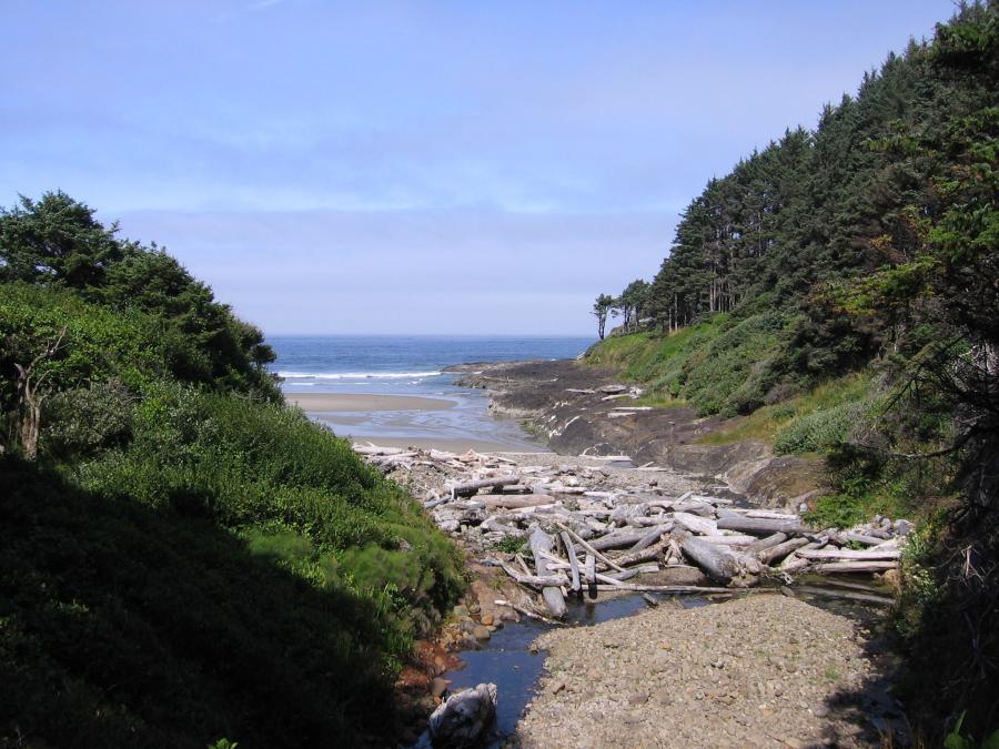 Cape Perpetua