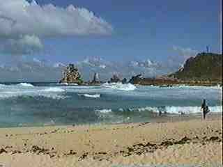 PICT_37
