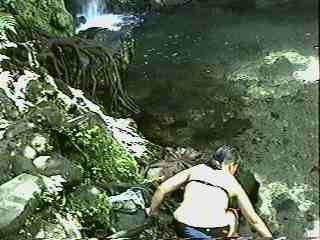 PICT_3