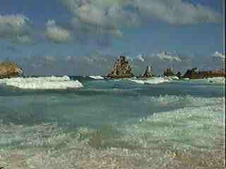 PICT_39
