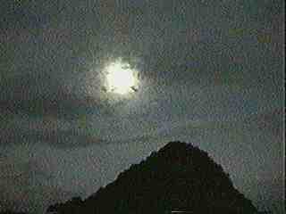 PICT_29
