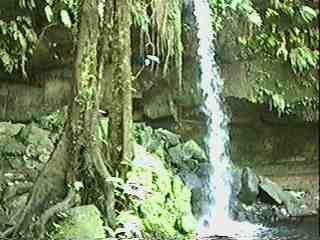 PICT_1