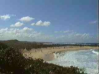 PICT_40