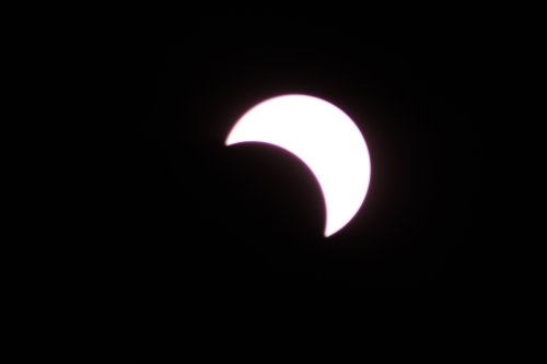 IMG_5869