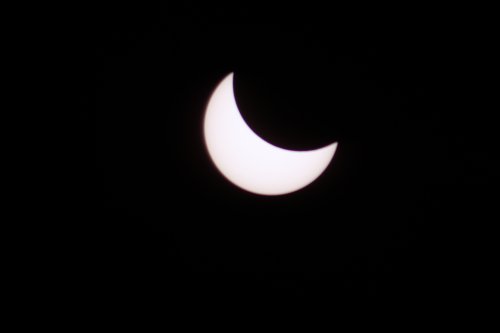 IMG_5822