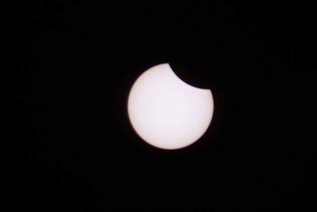 IMG_5818