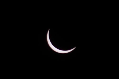 IMG_5826