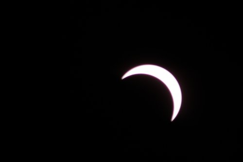 IMG_5864