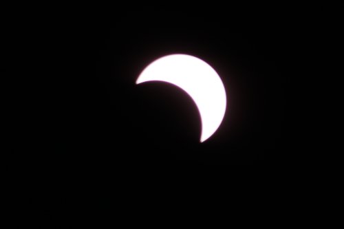 IMG_5868