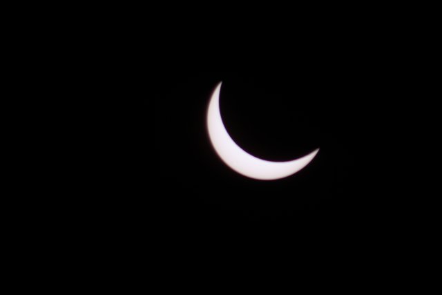 IMG_5824