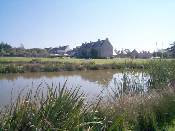 DCP00462