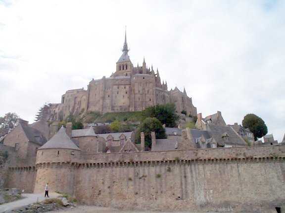 DCP00449