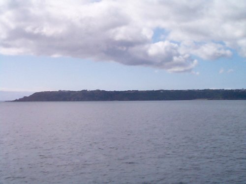 DCP00482