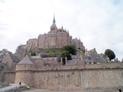 DCP00449