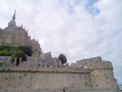 DCP00448