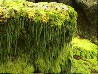 PICT_27