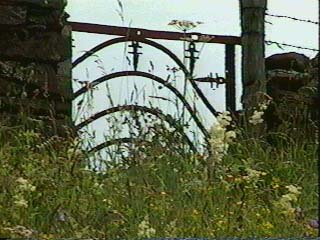 PICT_13