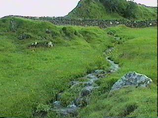 PICT_09