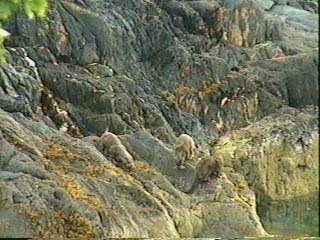 PICT_23