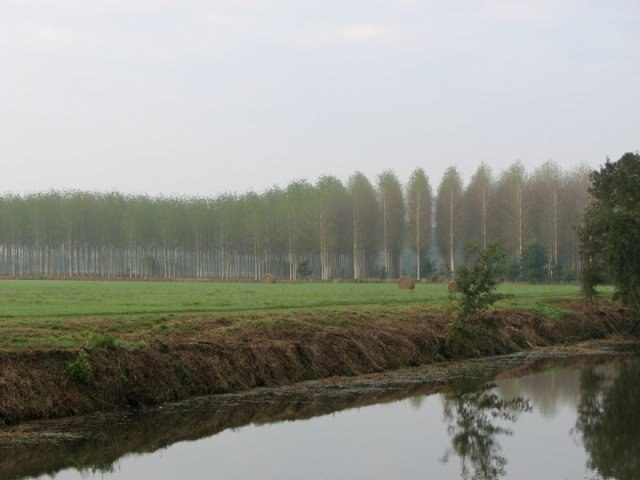 web-7