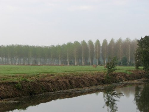 web-7