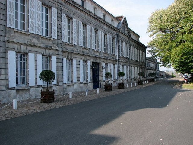 web-9