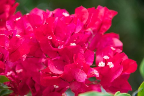 IMG_1801
