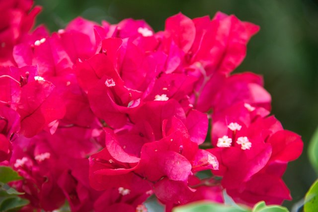 IMG_1801
