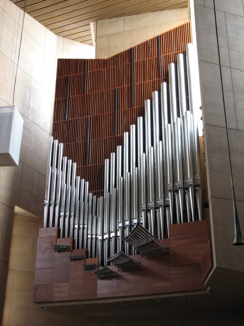 Organ