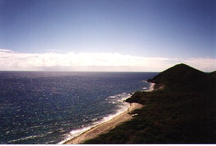 pan_3