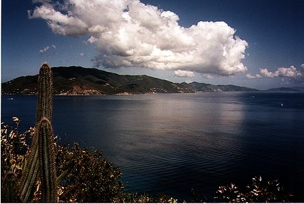 postcard
