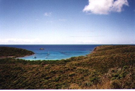 pan_5