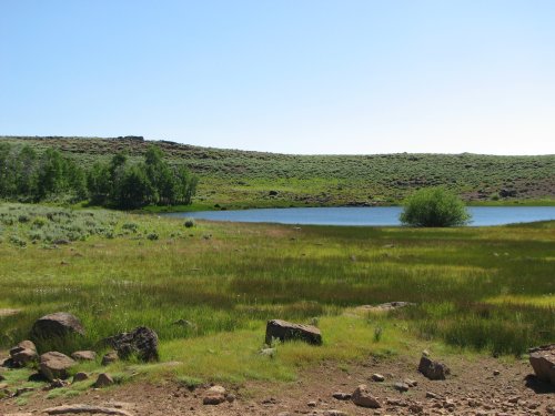 Pond