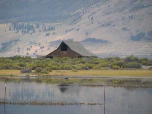 Barn