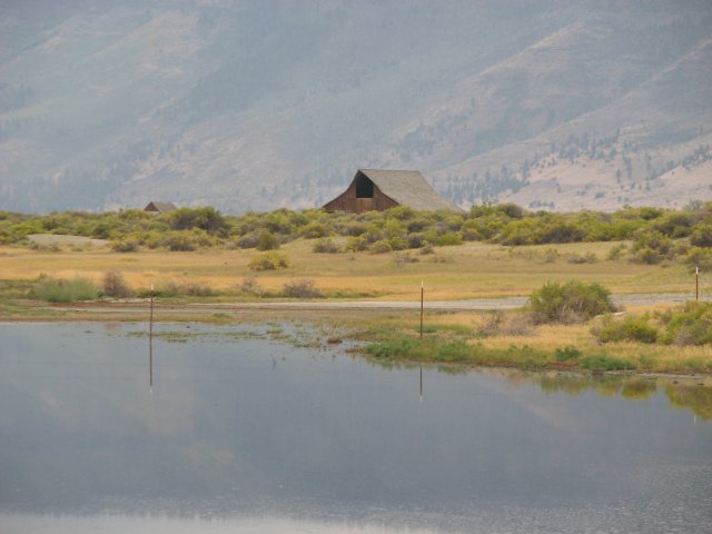 Barn