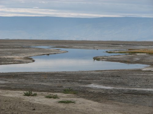 Lakebed