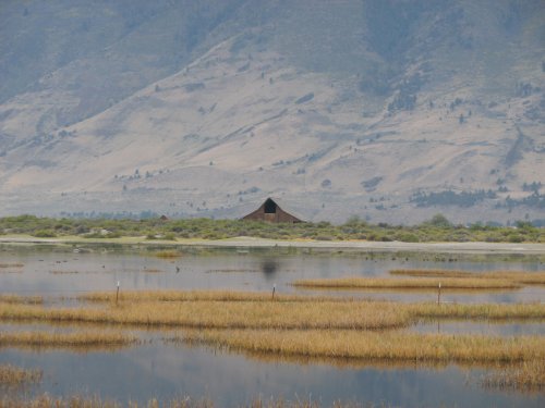 Barn