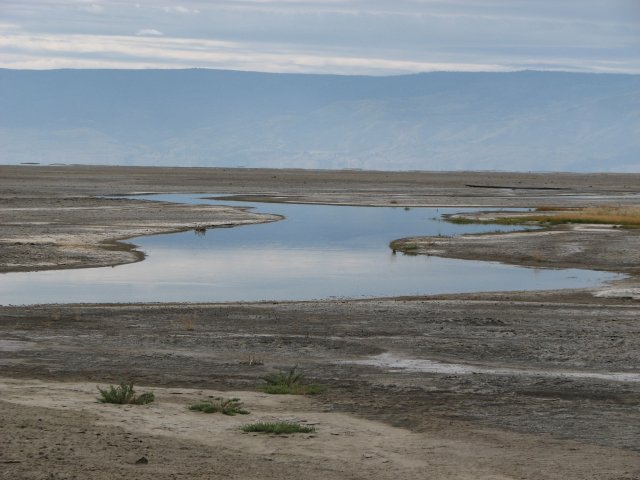 Lakebed