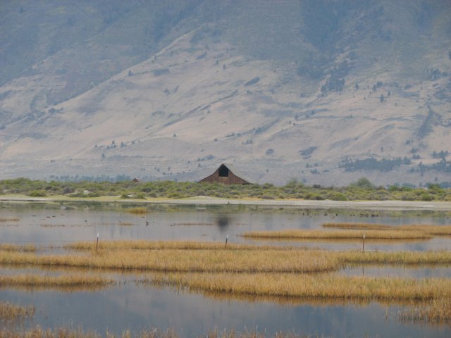 Barn
