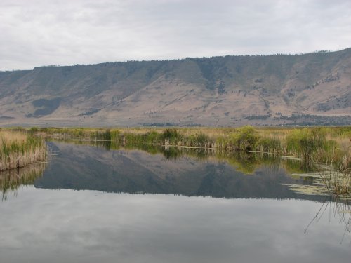 Canal