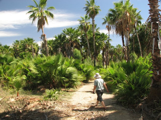 To the beach