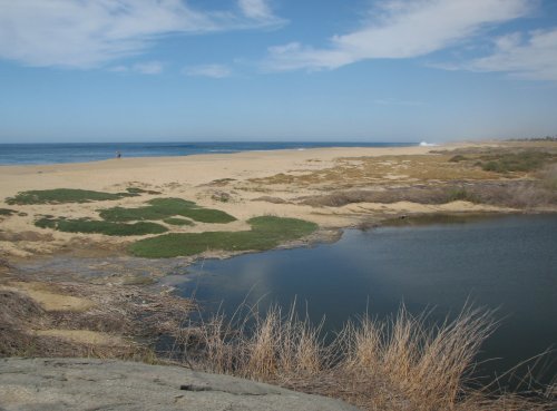 Looking north over the lagoon