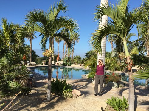 The pool