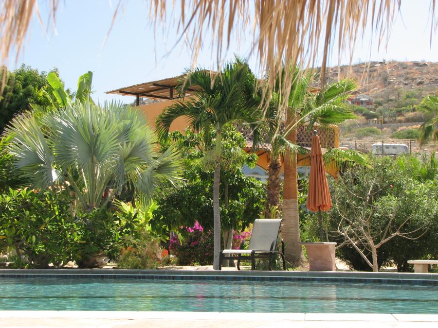 Todos Santos