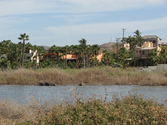 The hotel