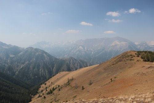 IMG_5944
