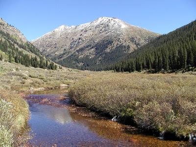 Aspen