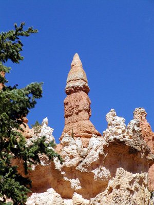 P9050093