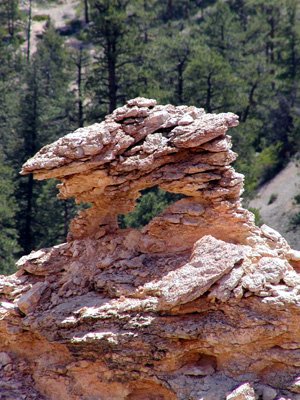 P9050039