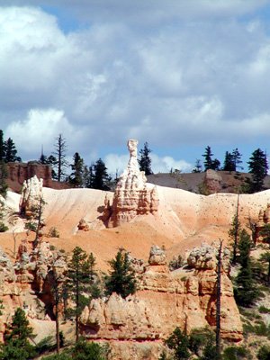 P9050022